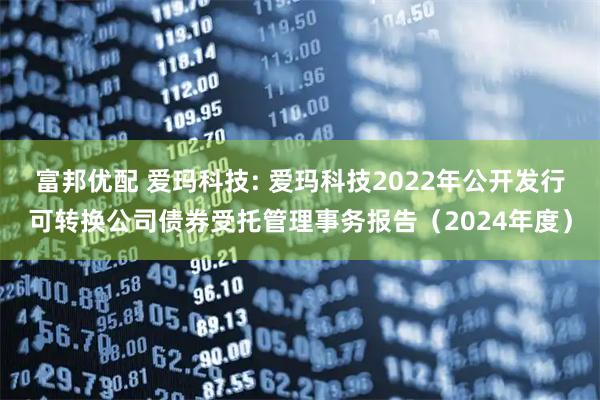 富邦优配 爱玛科技: 爱玛科技2022年公开发行可转换公司债券受托管理事务报告（2024年度）