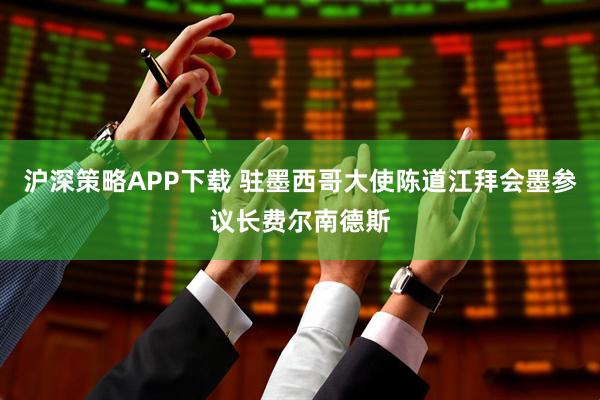 沪深策略APP下载 驻墨西哥大使陈道江拜会墨参议长费尔南德斯