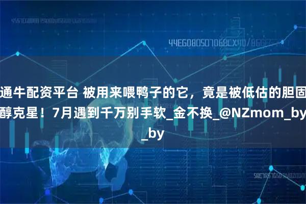 通牛配资平台 被用来喂鸭子的它，竟是被低估的胆固醇克星！7月遇到千万别手软_金不换_@NZmom_by