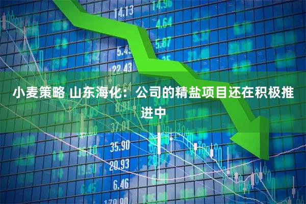 小麦策略 山东海化：公司的精盐项目还在积极推进中
