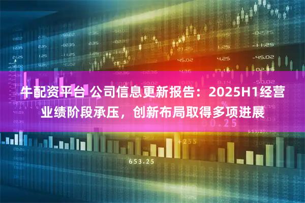 牛配资平台 公司信息更新报告：2025H1经营业绩阶段承压，创新布局取得多项进展